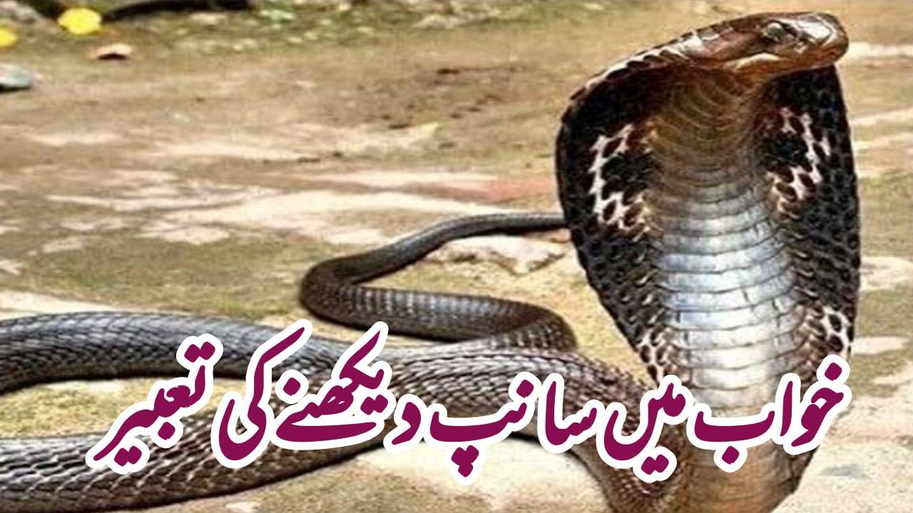 Khwab Mein Saanp Dekhna Ki Tabeer In Urdu Urdu Khawab Nama 