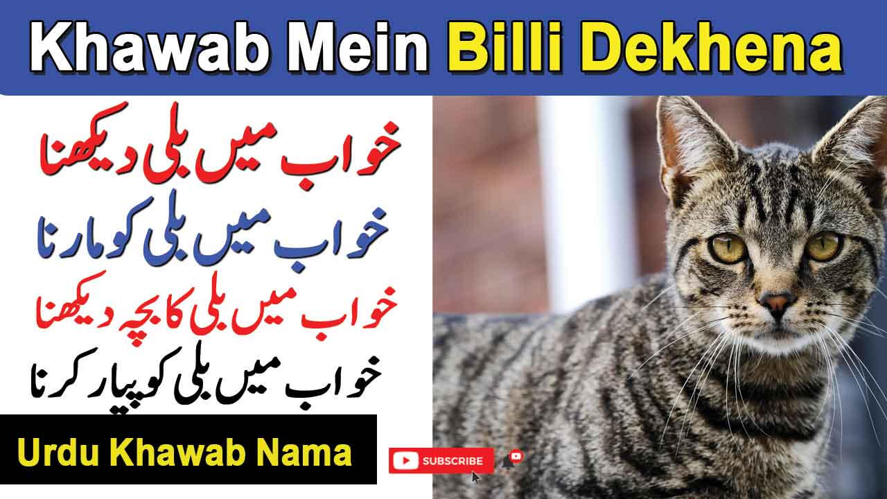 Khwab Mein Billi Dekhna