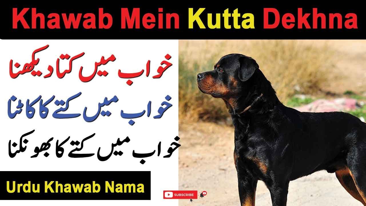 Khwab Mein Kutta Dekhna