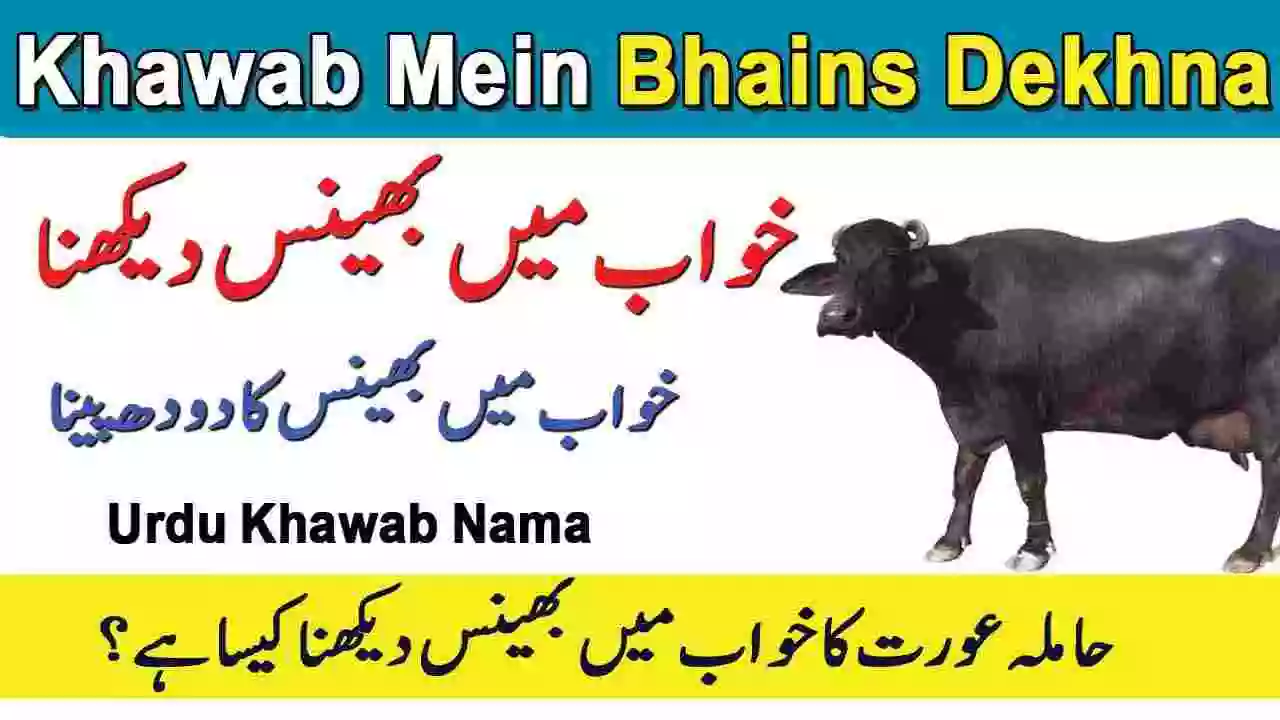 Khwab Mein Bhains Dekhna