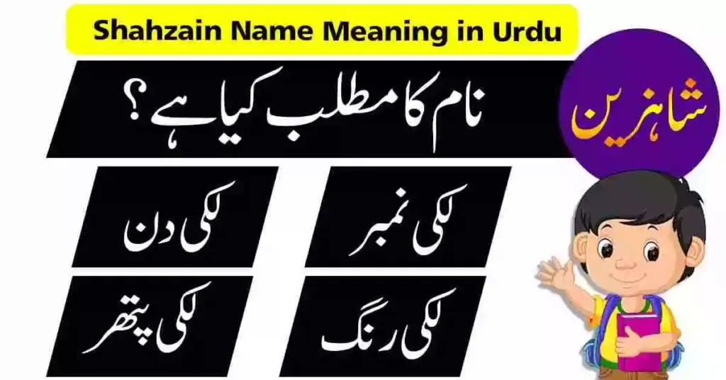 Shahzain Name Meaning in Urdu